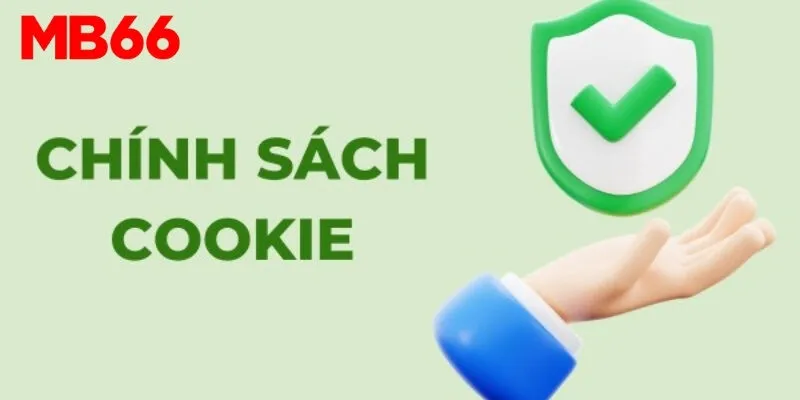 Cập nhật thông tin chính sách Cookie cụ thể