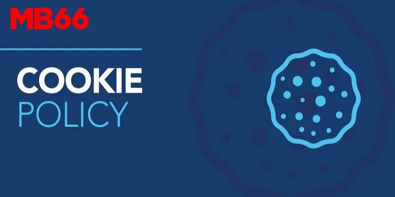 Sơ lược chính sách Cookie mới nhất 2025