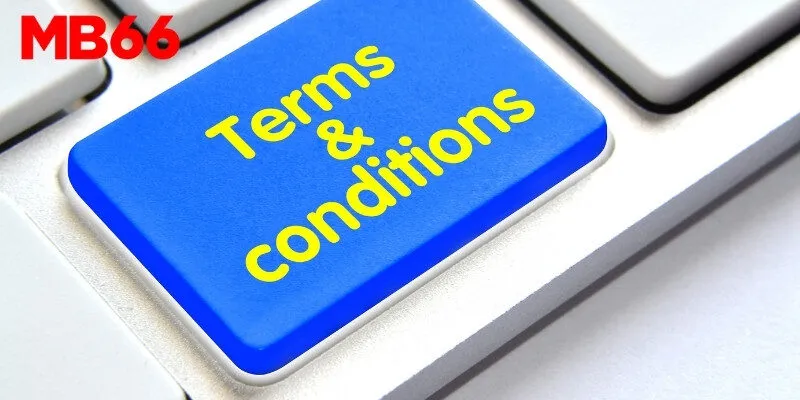 Khái quát điều khoản & điều kiện nhà cái