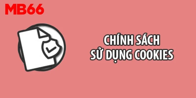 Tầm quan trọng của Cookie trong bảo vệ quyền riêng tư